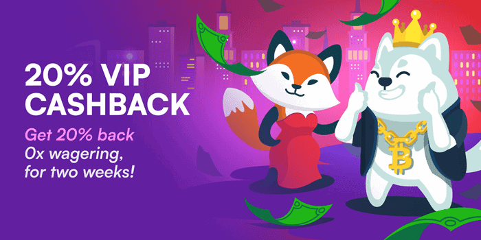 Wild.io VIP Program and Cashback 