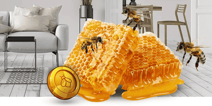 Enjoy Other Promotions and VIP Rewards! 