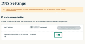 The DNS Settings page, showing the option to enable automatic IP registration.