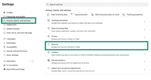 "Privacy, search, and services" tab, with a "Security" option highlighted.