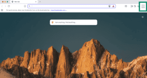 Hamburger menu in Brave browser.