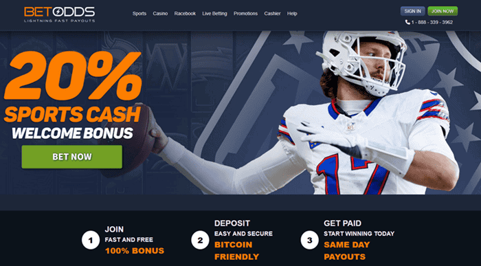 BetOdds Crypto Sportsbook 