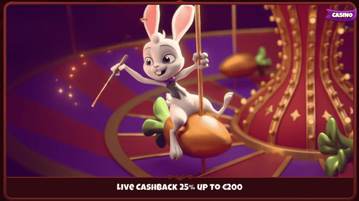 Magius Casino Live Cashback 