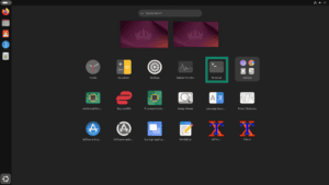 The Terminal app in the app menu on Linux highlighted.