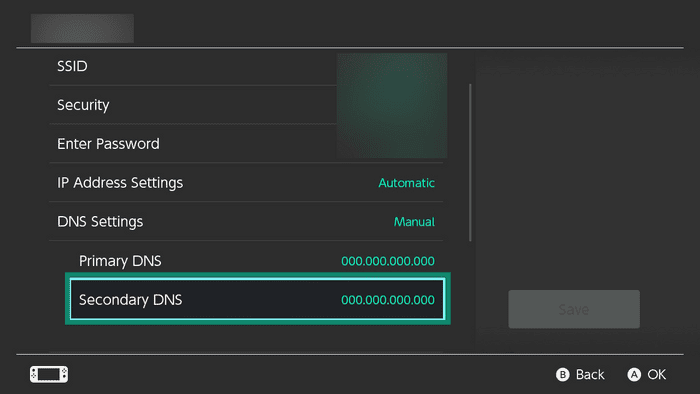 The "Secondary DNS" option on Nintendo Switch.