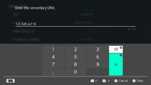 The Enter the secondary DNS windows on Nintendo Switch