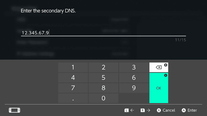 The Enter the secondary DNS windows on Nintendo Switch