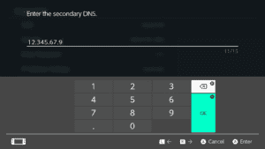 The Enter the secondary DNS windows on Nintendo Switch