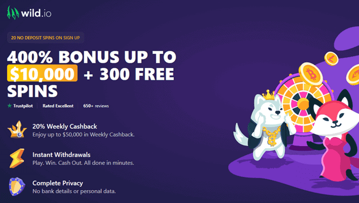 Wild.io 400% Bonus (up to $10,000) and 300 Free Spins 