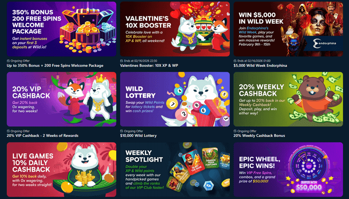 Wild.io Casino promotions 