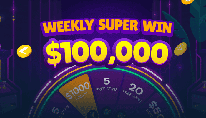 Wild.io Casino Wheel of Fortune 