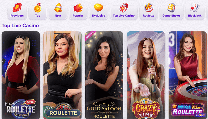 RoboCat Casino Games and Software Partners 