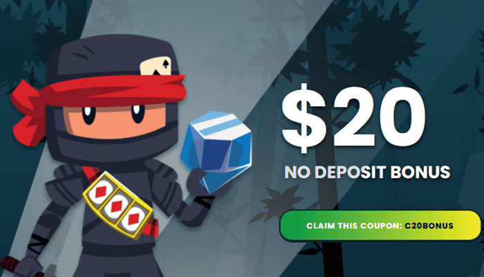 Slots Ninja Casino $20 no deposit required 