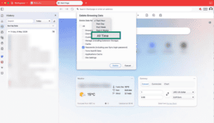Vivaldi browser showing delete passwords option from history.