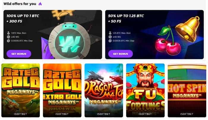 Wild Coin Casino games