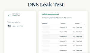You can run a DNS Leak Test to confirm that you are properly connected to the VPN. 
