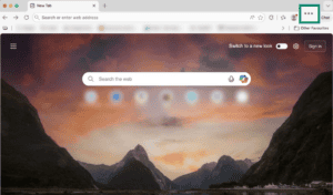 Microsoft Edge browser.
