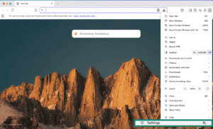 Settings in Brave browser.