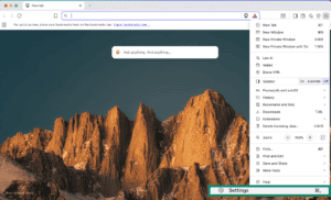 Settings in Brave browser.