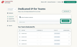 ExpressVPN for Teams dashboard showing Set Up Now button highlighted for dedicated IP.