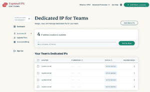 Dedicated IP for Teams showing list of purchased dedicated IPs requiring set up.