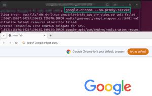 Enter “google chrome no proxy server.”