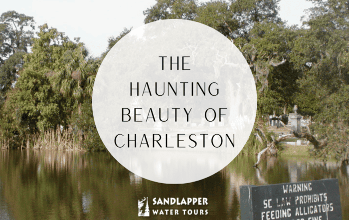 charleston sc harbor tours