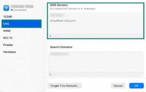 Details window for a Wi-Fi connection on a Mac. The "DNS" tab and "DNS Servers" table are highlighted.