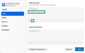 Details window for a Wi-Fi connection on a Mac. The "cloudflare-dns.com" table item, minus button, and "OK" button are highlighted.