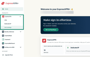 ExpressVPN+ account dashboard sidebar with the ExpressVPN menu expanded, showing "DNS Settings" highlighted inside a teal box.