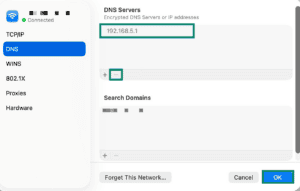 DNS settings on macOS, showing a DNS IP address, the minus sign highlighted, and the OK button.