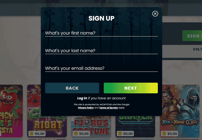 Slots Ninja USA Casino with RTG Games