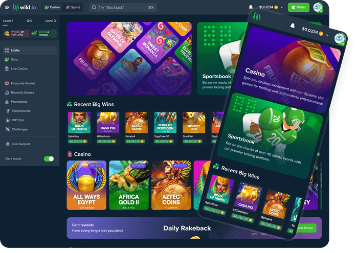 Wild.io Casino Website Review 