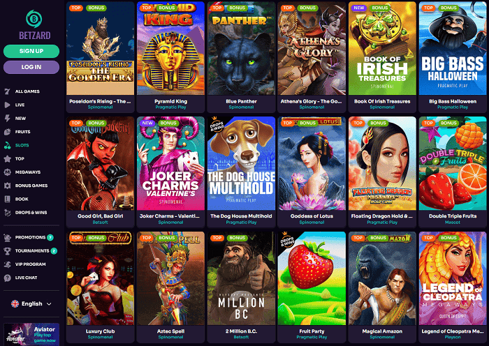 Enjoy table games and online slots! 