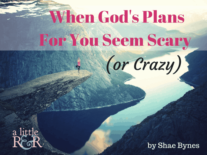 Do God's plans seem scary to you? Here is what you need to remember when you're afraid to take that leap of faith to fulfill the purpose for which God created you!