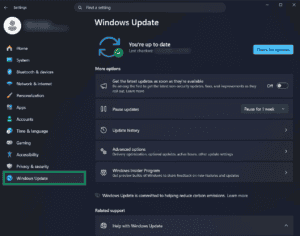 Windows Update page on Windows 11. The "Windows Update" tab from the Settings menu is highlighted.