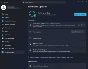 Windows Update page on Windows 11, showing a highlighted "Check for updates" button