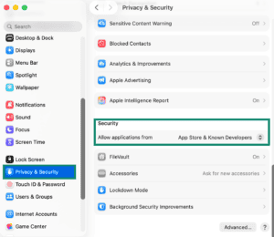 System Settings page on a Mac. The "Privacy & Security" menu item, "Security" tab, and "Allow application from" option are highlighted.