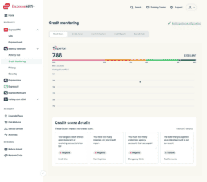 "Credit Monitoring" dashboard showing the "Credit Score" section for Identity Defender.