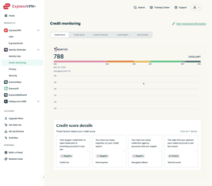 "Credit Monitoring" dashboard showing the "Credit Score" section for Identity Defender.