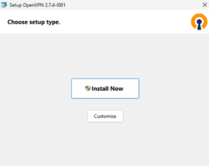 OpenVPN Install Now screen.