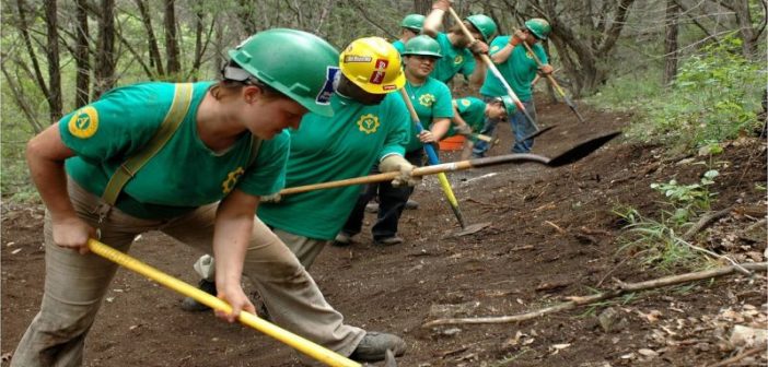 corporate-social-responsibility-csr-activities-community-projects-reveal-hidden-leadership-qualities-employees