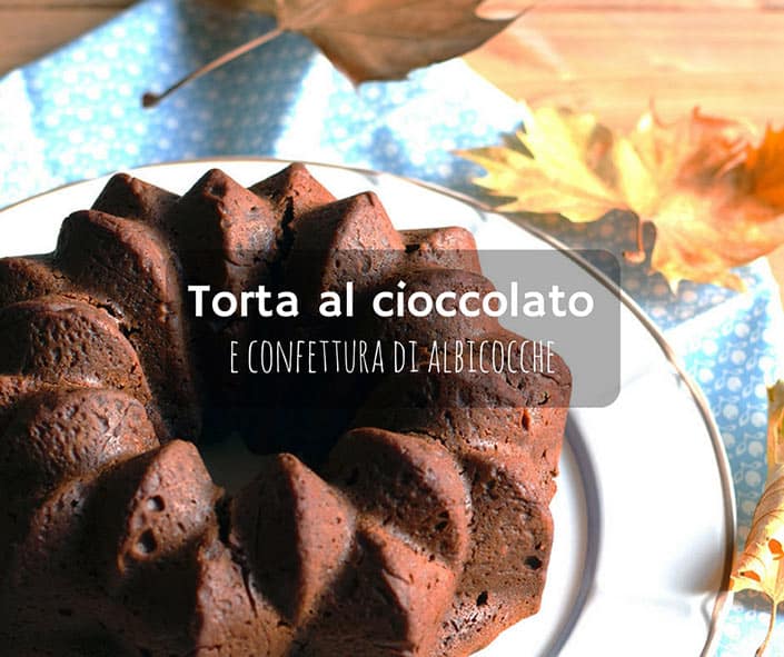 Torta al cioccolato e confettura di albicocche