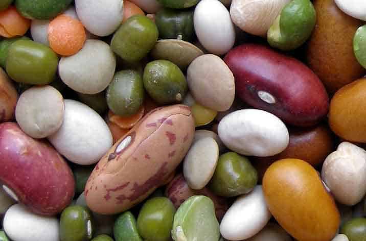 Beans-to-lose-weight-merirasoi - Weight-Loss-Diet