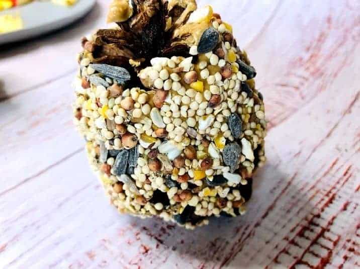 pine cone covered in bird seed.