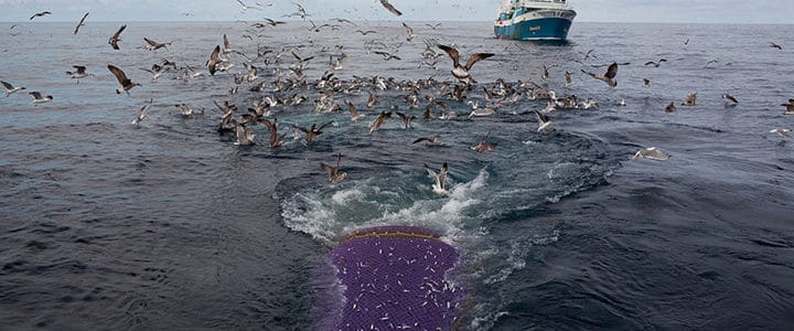 Alerte ! Ta mer, elle va pas être fière !