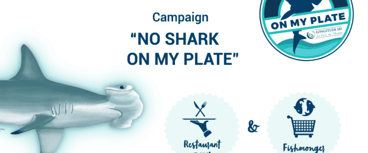 Pas de requins dans mon assiette : le dépliant en anglais, espagnol et catalan
