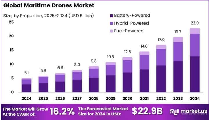 Maritime Drones Market size
