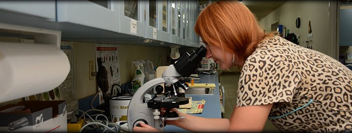 Equine Diagnostic Testing, Deason Animal Hospital Floresville, TX