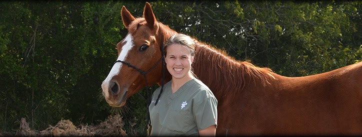 Equine Reproduction, Floresville Animal Hospital, Equine Vet